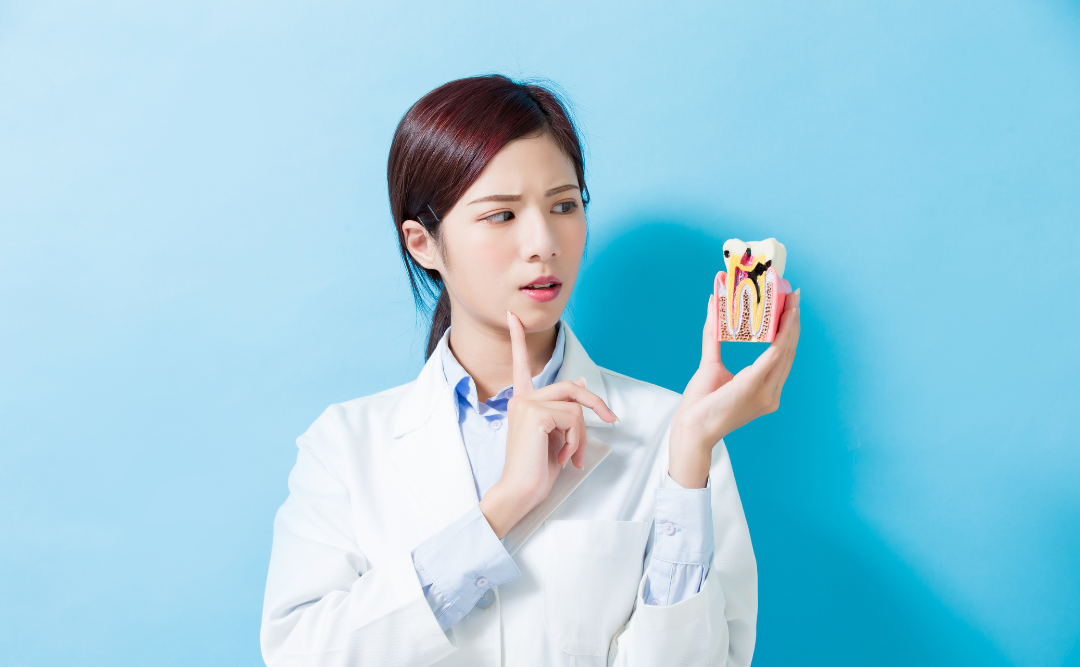 酸蝕症　レクチャー｜ムクノキ歯科