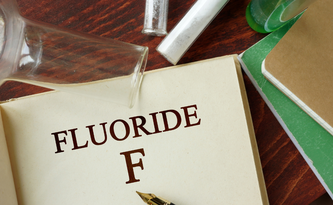 フッ素の効果|ムクノキ歯科