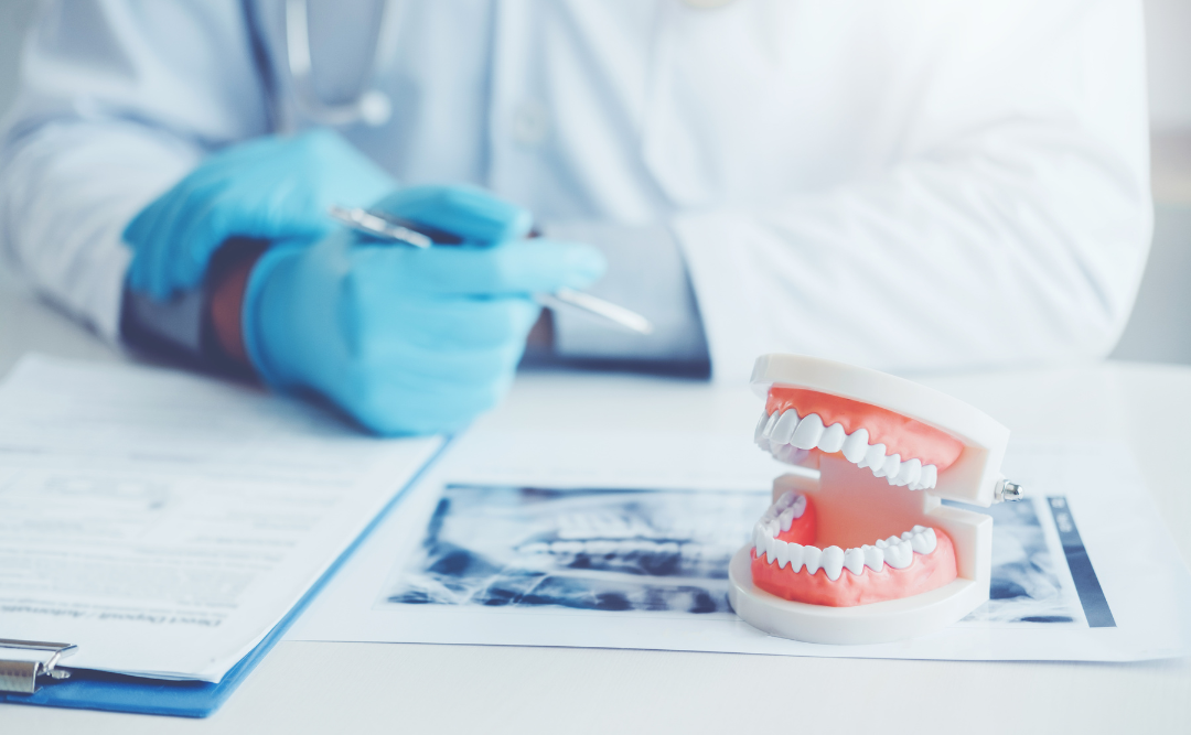 入れ歯の契約｜ムクノキ歯科