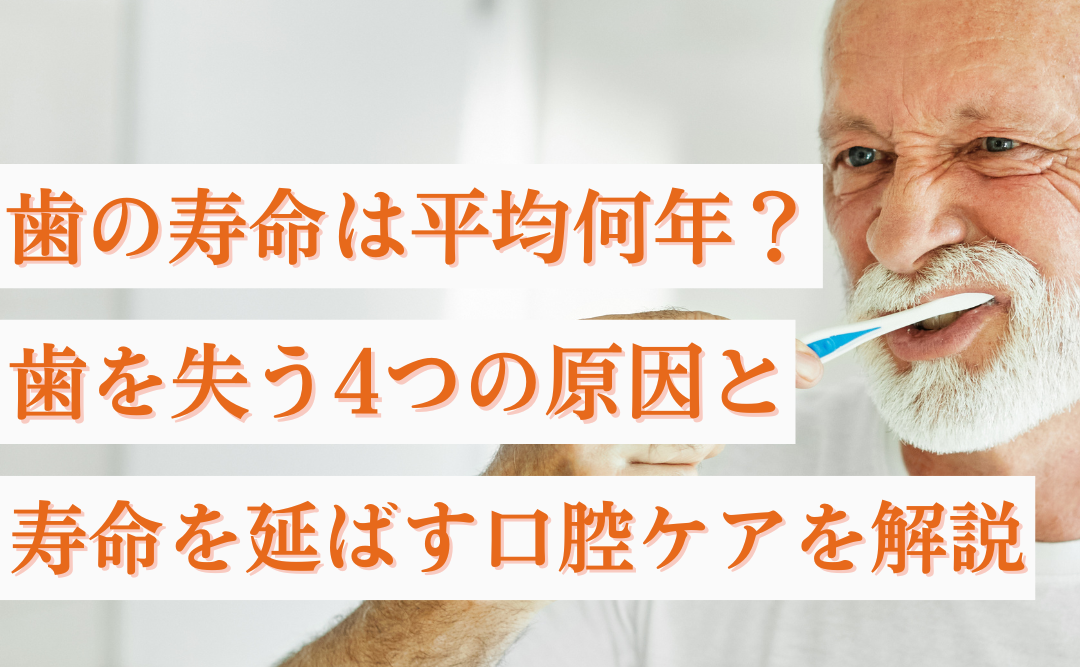 歯の寿命は平均何年?歯を失う4つの原因と寿命を延ばす口腔ケアを解説|ムクノキ歯科